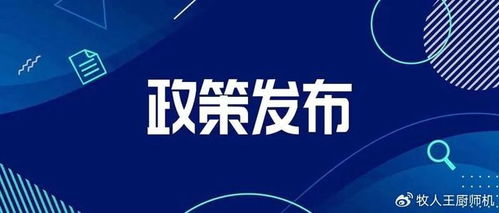 新国五条，解读政策红利，把握投资先机