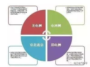 探索法律知识平台，如何高效下载官网资源