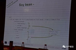 探索法律的迷宫，如何利用法律平台查询轻松找到答案