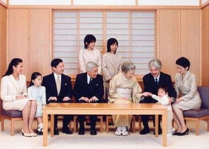 科学与伦理的交汇，探讨近亲结婚的禁忌与后果