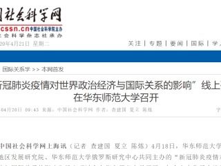 深入解析，制裁的含义、影响及国际关系中的运用