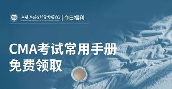 掌握核心技巧，如何高效管理你的公司