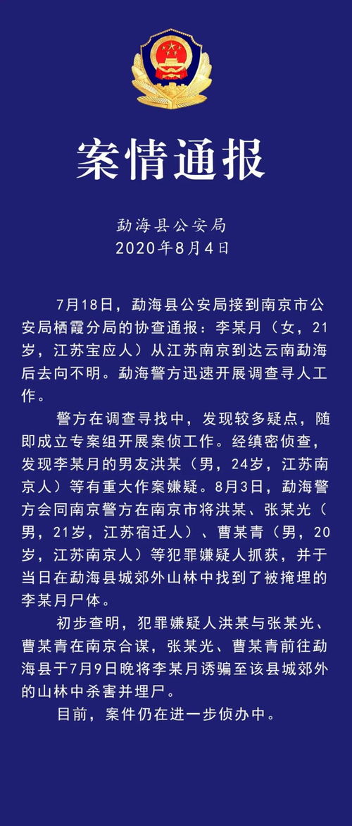 南京杀人案件剖析，犯罪心理学与社会影响