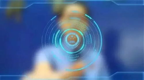 智慧与法律的双重盾牌，观后感