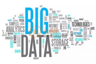 财务核心，深入了解出纳的职责与重要性