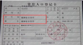 深入解析，户口所在地行政区划代码的奥秘与应用