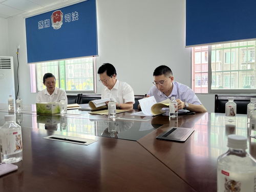 衡阳市司法局，法治建设的先锋与桥梁