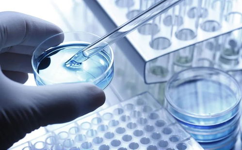 激励安全，保障未来，探索安全生产奖励制度的魅力