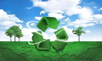 绿色行动，深入理解环境污染与防治