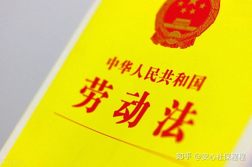 劳动法中的产假，权利、规定与实践