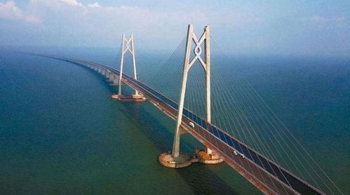 爱国统一战线，构建和谐社会的桥梁