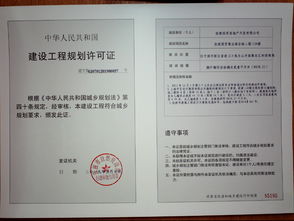 一篇文章的标题，解锁商业潜力，一般纳税人资格证书的奥秘