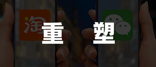 家暴阴影下的重生，和解与再次入院的双重挑战