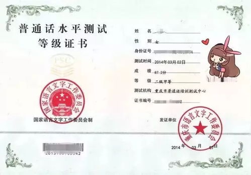 深入理解教育培训资质办理，步骤、要求与实用建议