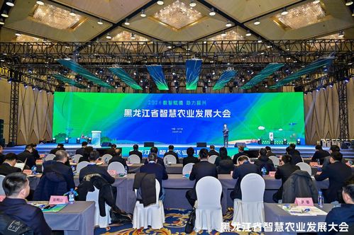 揭秘广西南宁资本运作，机遇、挑战与智慧的融合