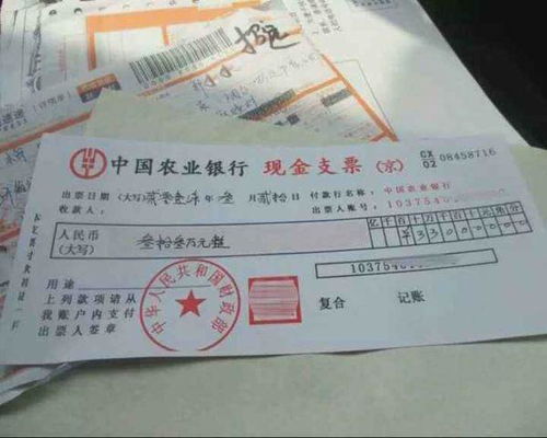 现金支票的魔法，如何正确填写用途，让金钱流转更顺畅