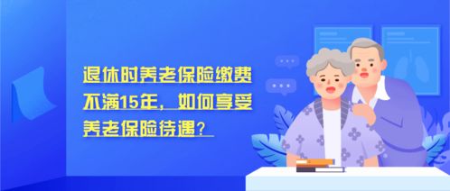 养老保险个人账户查询全攻略，如何轻松掌握您的退休金动态