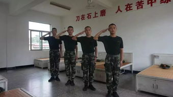 退役不褪色，军人退伍后的多彩人生