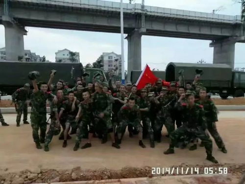 退役不褪色，军人退伍后的多彩人生