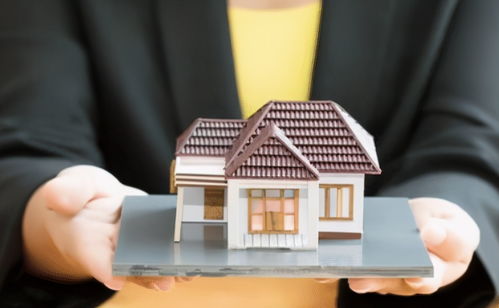 朝阳区房产交易，市场动态、投资指南与未来趋势