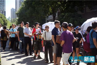 朝阳区房产交易，市场动态、投资指南与未来趋势