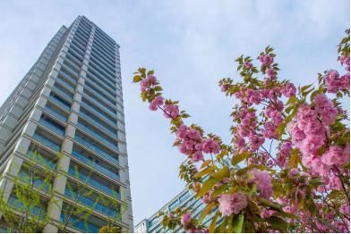 厦门保障房，为梦想安家，打造温馨港湾