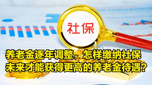 把握未来，深入了解养老保险金领取条件