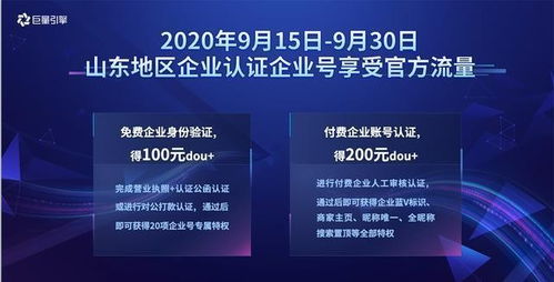 国家扶持项目，助力经济发展与社会进步的引擎