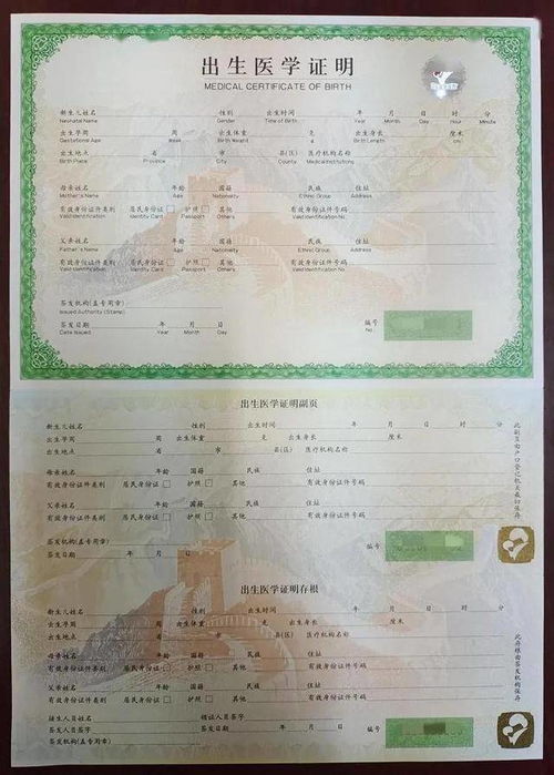 探索生命的起点，出生证明查询的奥秘与重要性