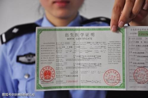 探索生命的起点，出生证明查询的奥秘与重要性