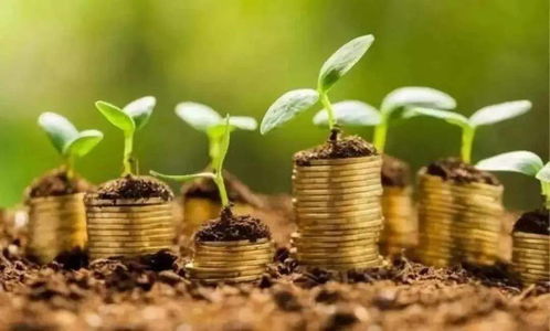 浙江水污染，挑战与应对策略