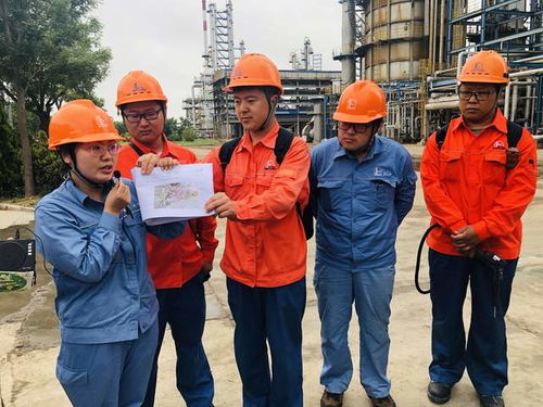 探索莆田房屋出租，实用指南与生活智慧