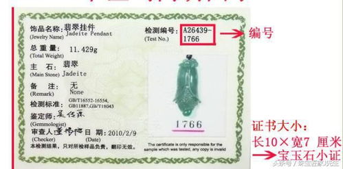 揭开亲子鉴定价格的神秘面纱，了解、应用与影响