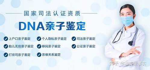 揭开亲子鉴定价格的神秘面纱，了解、应用与影响