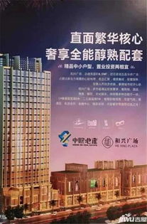 桥西区租房指南，如何在城市心脏地带找到理想的家