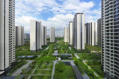 桥西区租房指南，如何在城市心脏地带找到理想的家