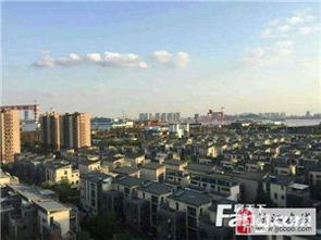 泰和房屋出租，探索城市心脏的温馨避风港