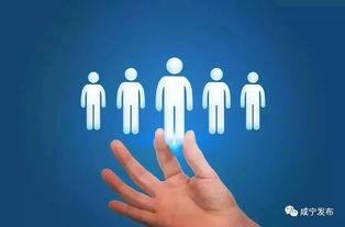 保险公估人，风险评估的幕后英雄