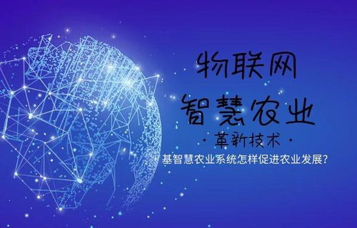 智慧农业，未来农业的革命性转变—商业计划书深度解析