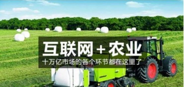 智慧农业，未来农业的革命性转变—商业计划书深度解析