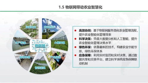 智慧农业，未来农业的革命性转变—商业计划书深度解析