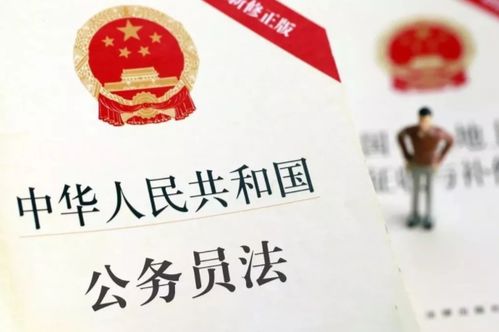 公务员法释义，解读公务员制度的核心原则与实践