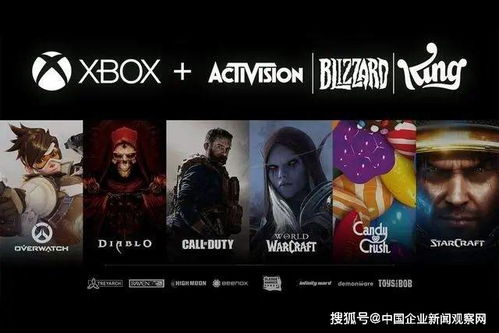 网络通缉犯，虚拟世界的隐秘威胁