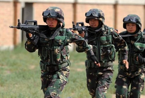 预备役军人，国防力量的重要组成与使命