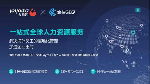 能力建设年，提升个人与组织竞争力的关键路径