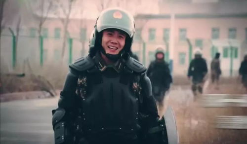 守护道路安全的隐形守护者，交通部质监站的幕后英雄