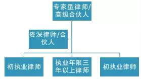 探索法律知识大全资料软件，你的智能法律顾问