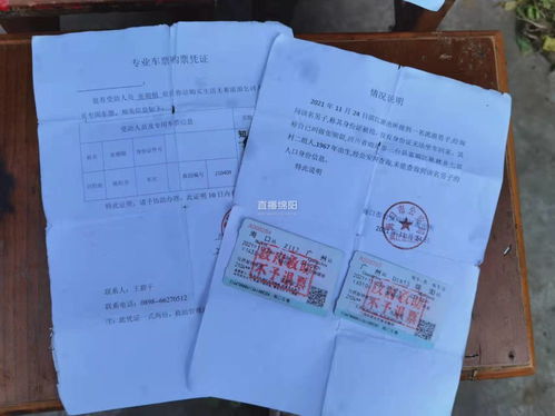 亲子鉴定程序，揭开家庭秘密的科学钥匙