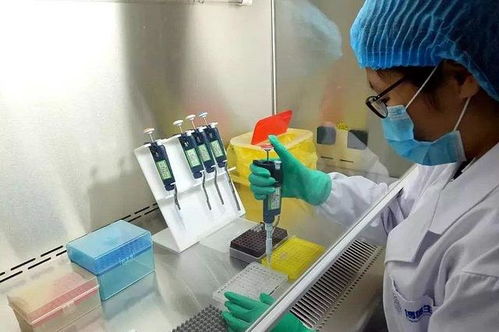 亲子鉴定程序，揭开家庭秘密的科学钥匙