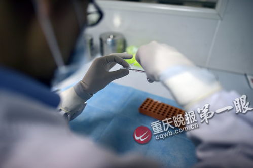 亲子鉴定程序，揭开家庭秘密的科学钥匙